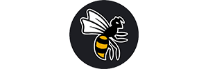 WASPs Rugby WASPs Rugby