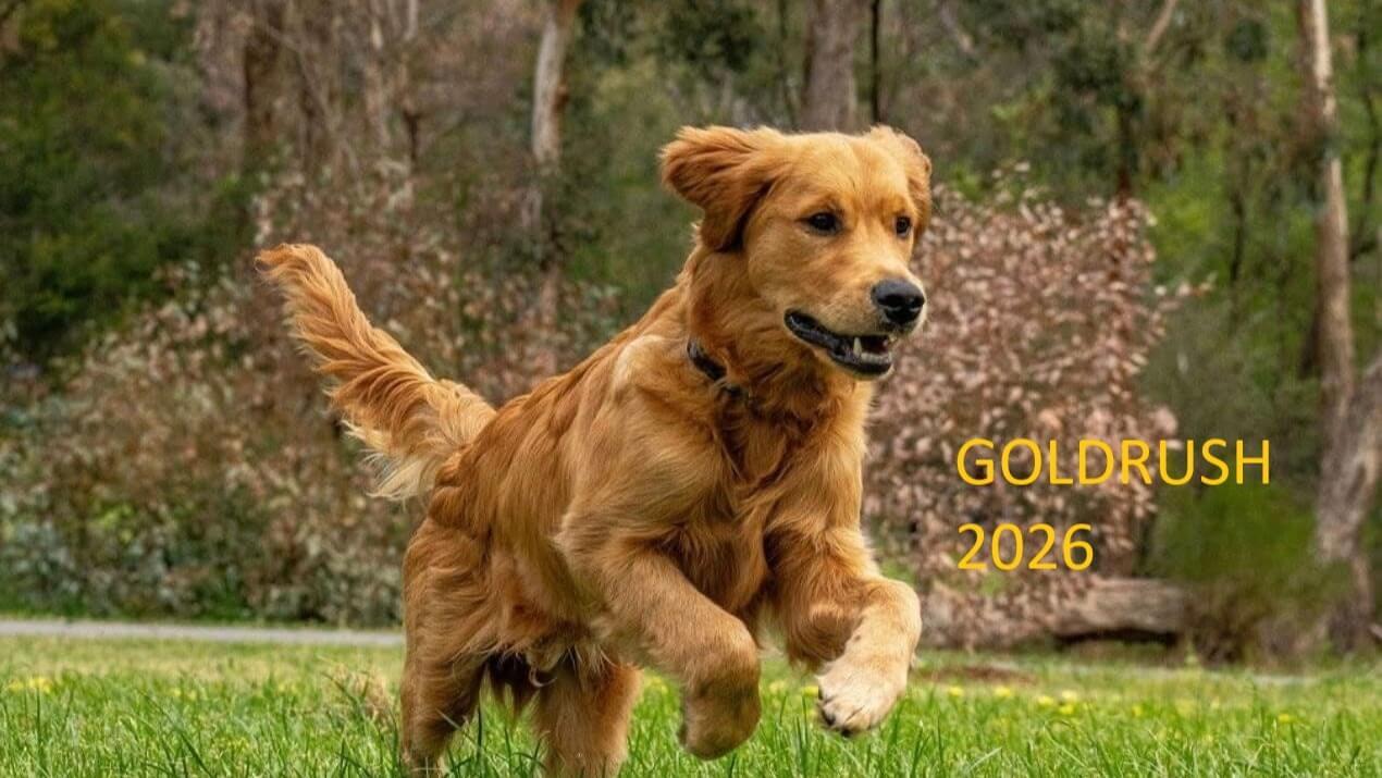 Goldrush 2026 Goldrush 2026