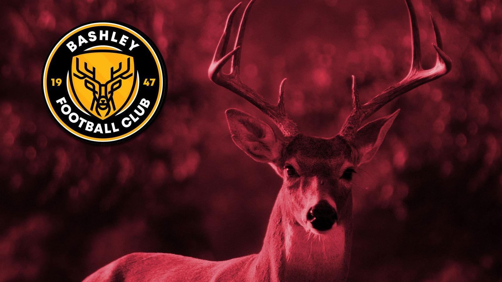 Bashley FC